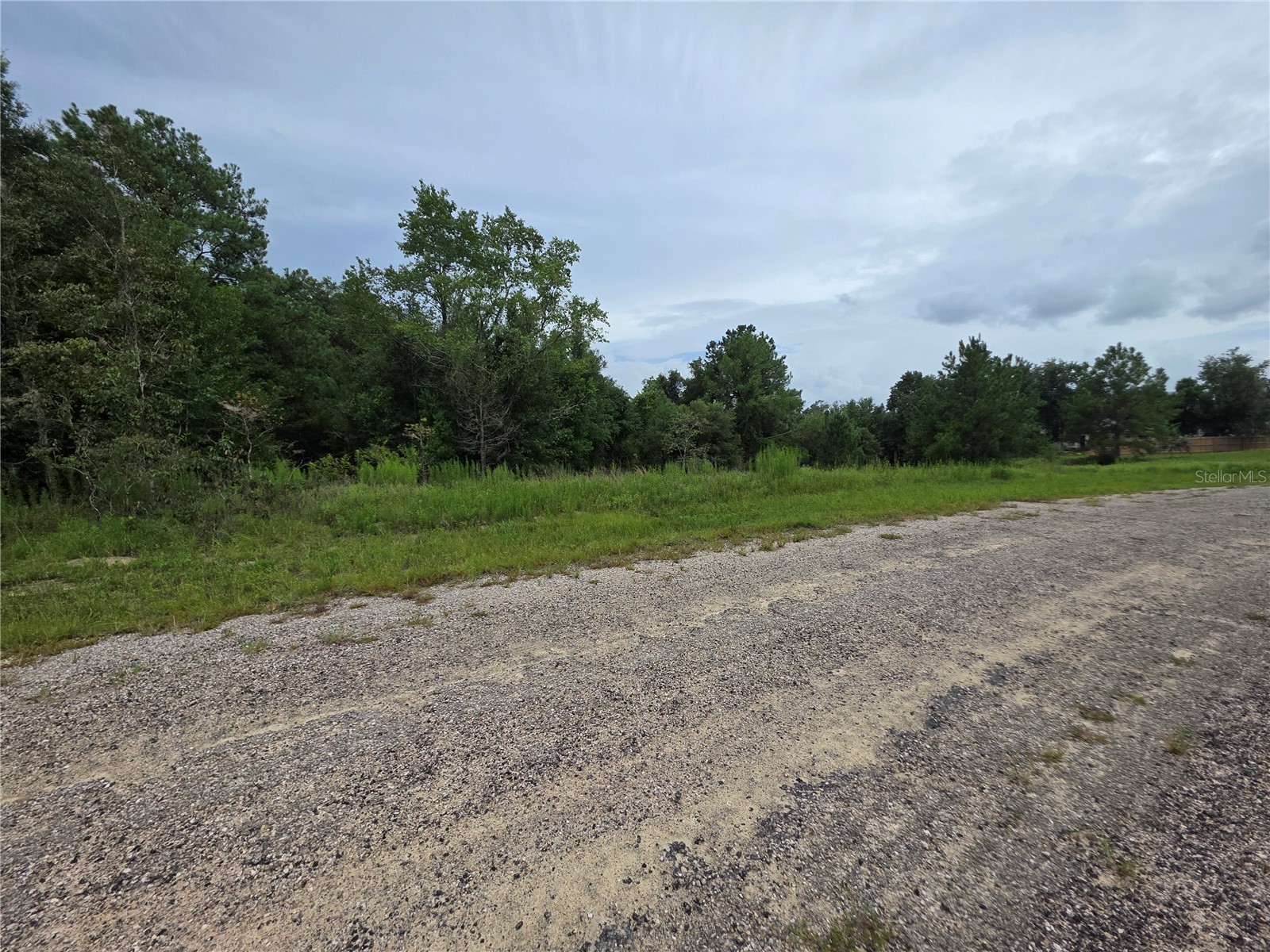 7813 N Cedro Road Dunnellon FL 34434 G5114865 image4