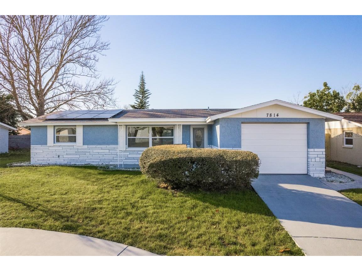 7814 Birchwood Drive Port Richey FL 34668 U8231406 image1