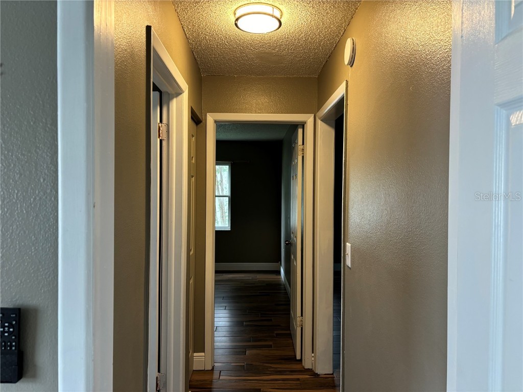 7814 Flintlock Drive Port Richey FL 34668 W7880531 image23