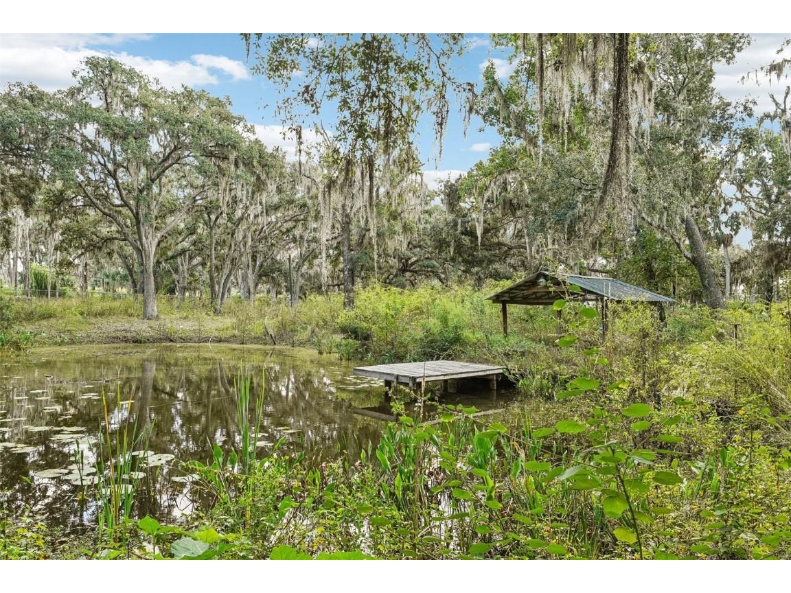 7814 Turkey Creek Road Plant City FL 33567 TB8439679 image18