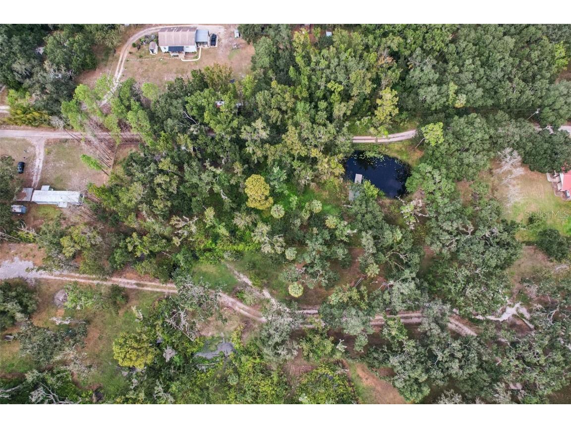 7814 Turkey Creek Road Plant City FL 33567 TB8439679 image23