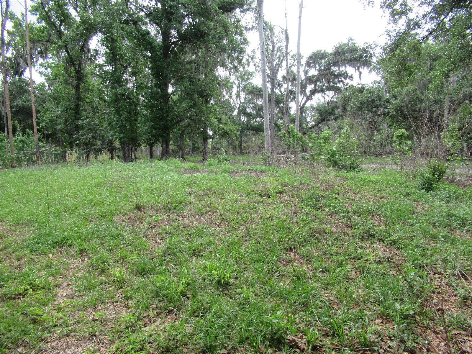 7814 Turkey Creek Road Plant City FL 33567 TB8494829 image6