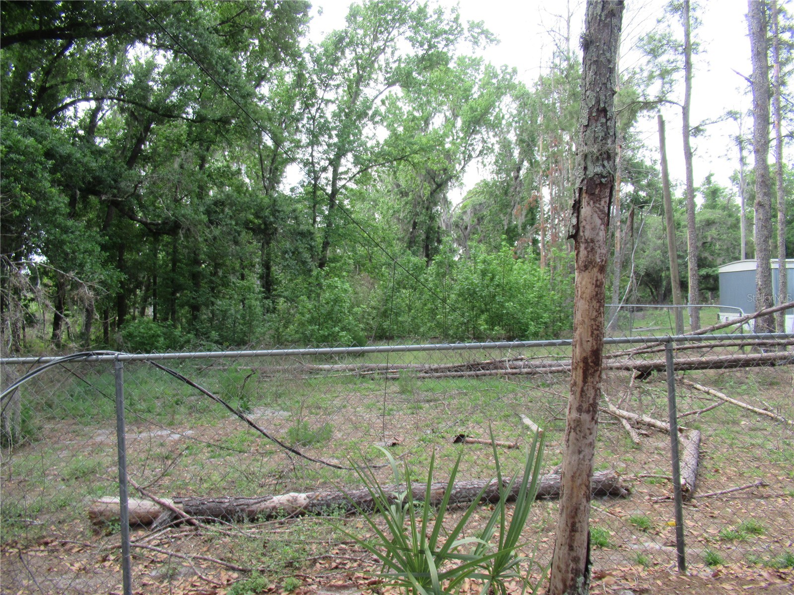 7814 Turkey Creek Road Plant City FL 33567 TB8494829 image7