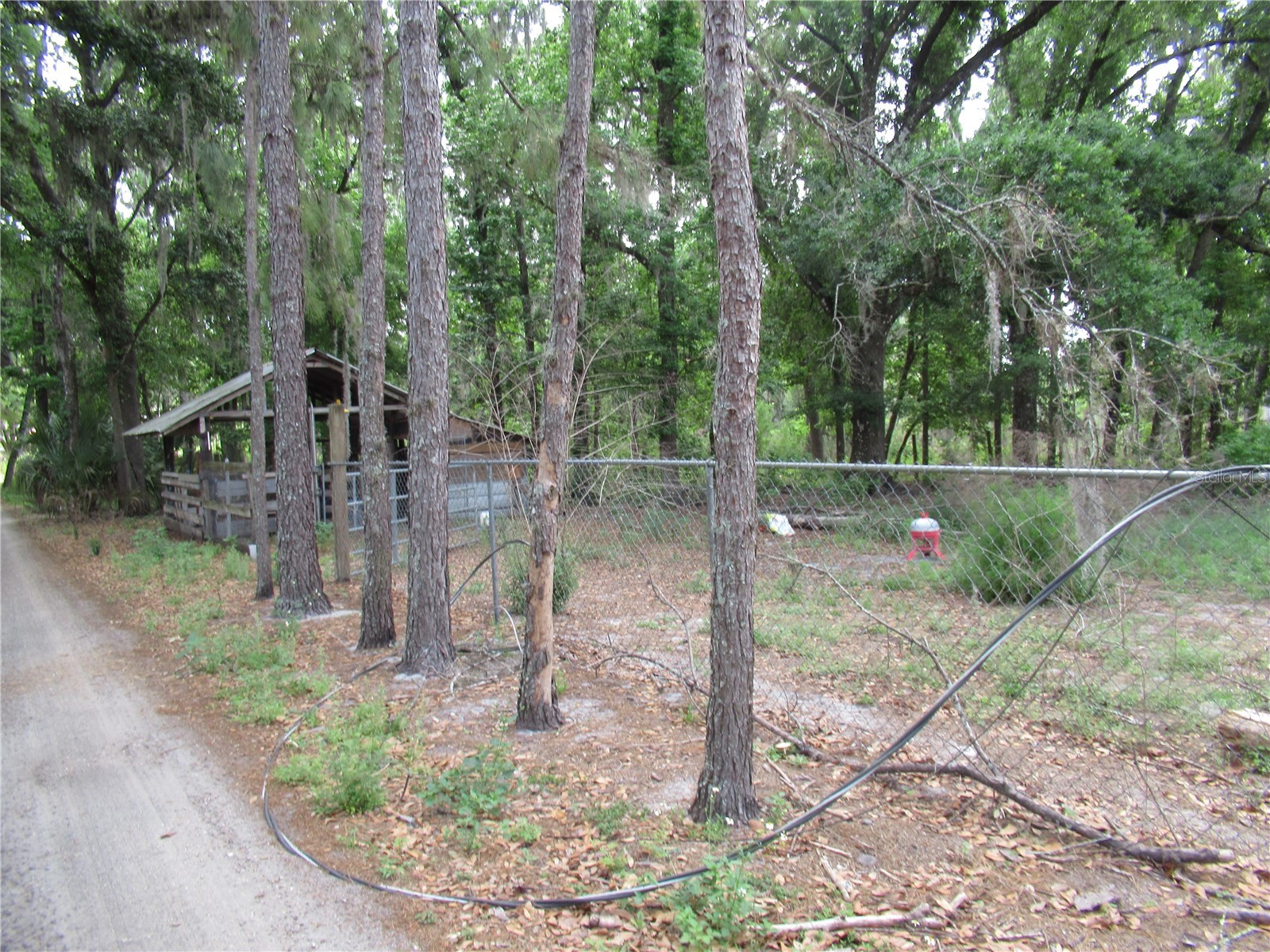 7814 Turkey Creek Road Plant City FL 33567 TB8494829 image8