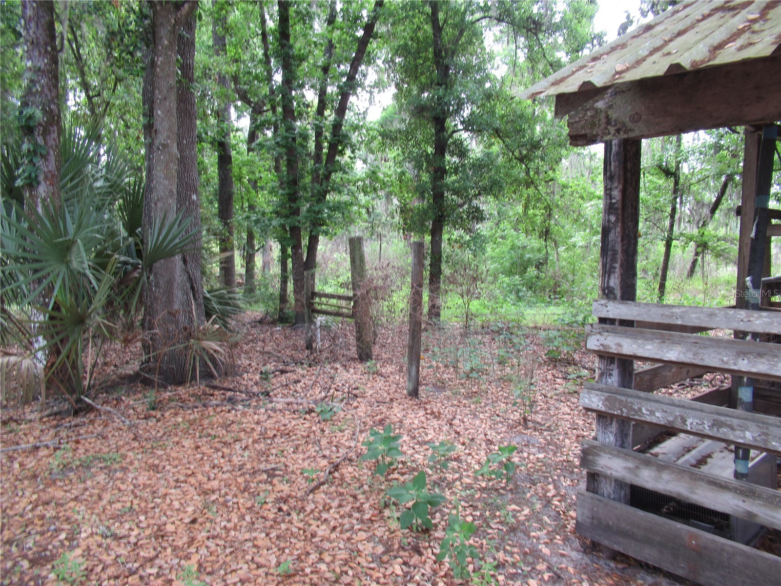 7814 Turkey Creek Road Plant City FL 33567 TB8494829 image9