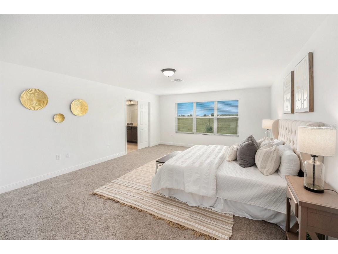 7815 Bronze Oak Drive Wesley Chapel FL 33545 TB8429222 image17