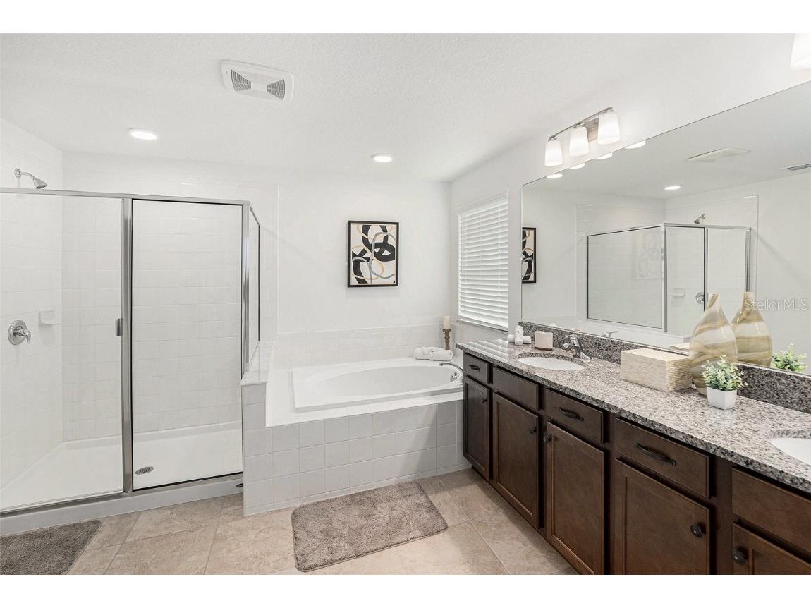 7815 Bronze Oak Drive Wesley Chapel FL 33545 TB8429222 image18