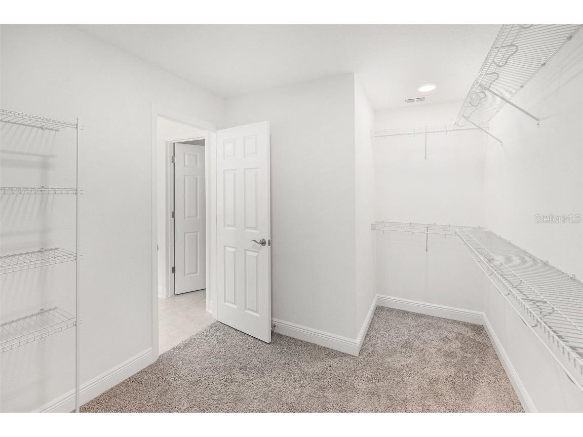 7815 Bronze Oak Drive Wesley Chapel FL 33545 TB8429222 image19