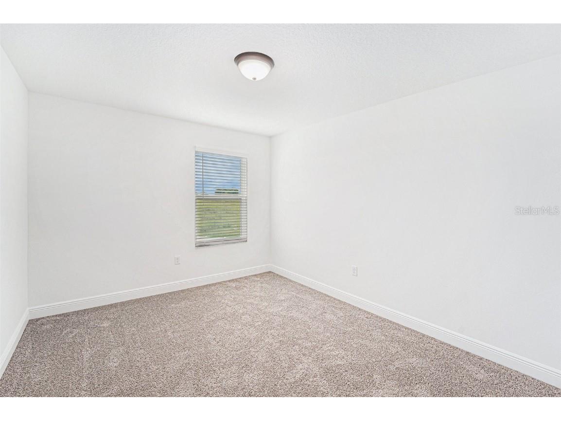 7815 Bronze Oak Drive Wesley Chapel FL 33545 TB8429222 image20