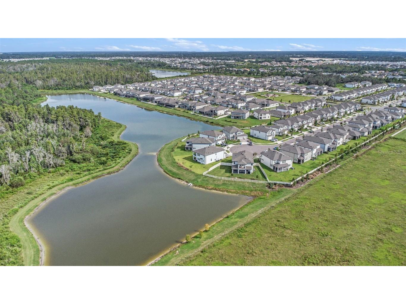 7815 Bronze Oak Drive Wesley Chapel FL 33545 TB8429222 image38