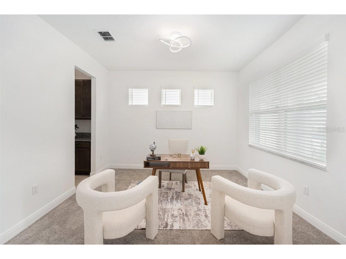 7815 Bronze Oak Drive Wesley Chapel FL 33545 TB8429222 image8