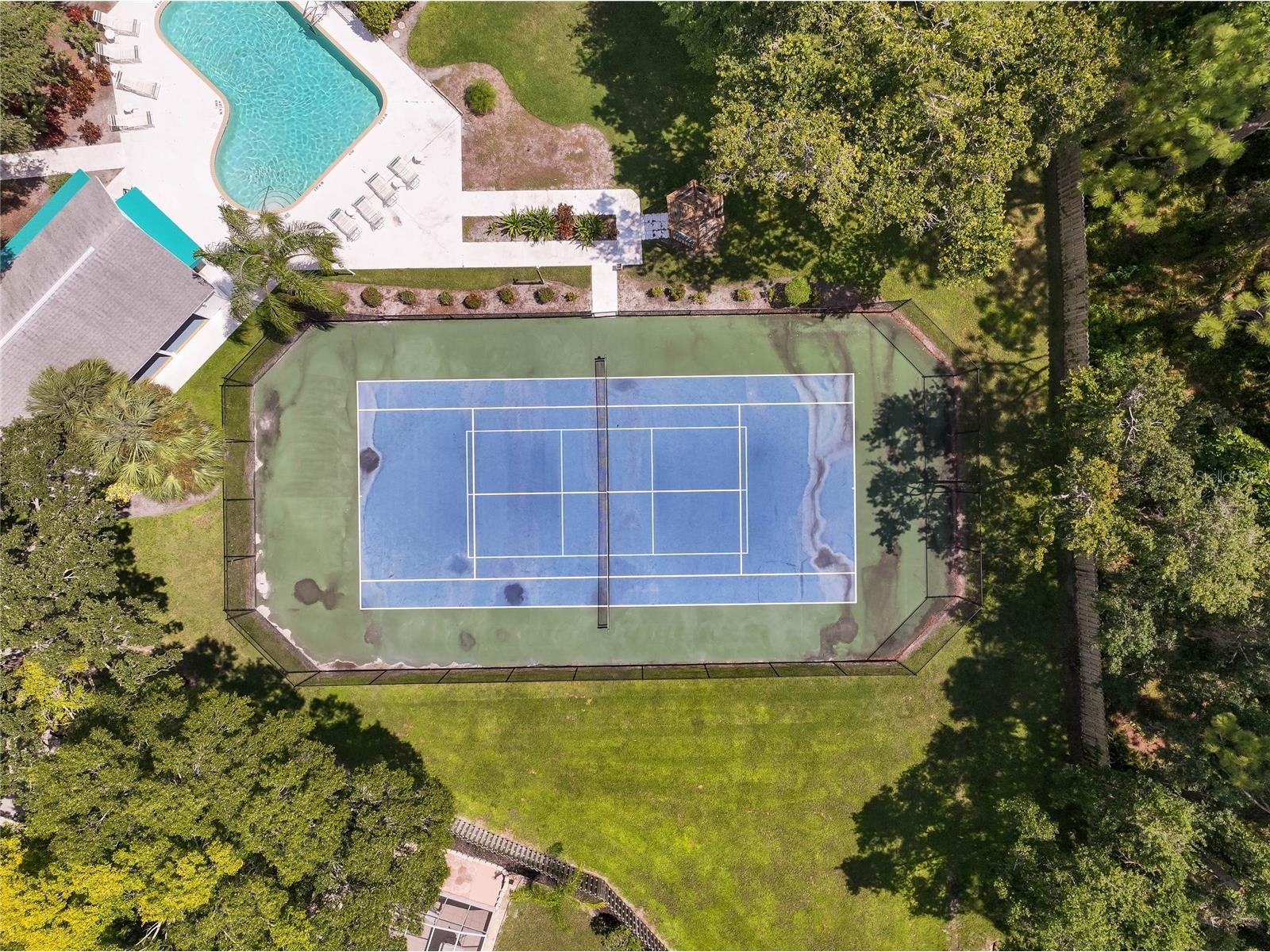 7815 Geneva Lane Sarasota FL 34243 W7882865 image39