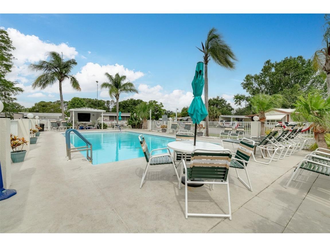 7815 Greenlawn Drive New Port Richey FL 34653 TB8424605 image22