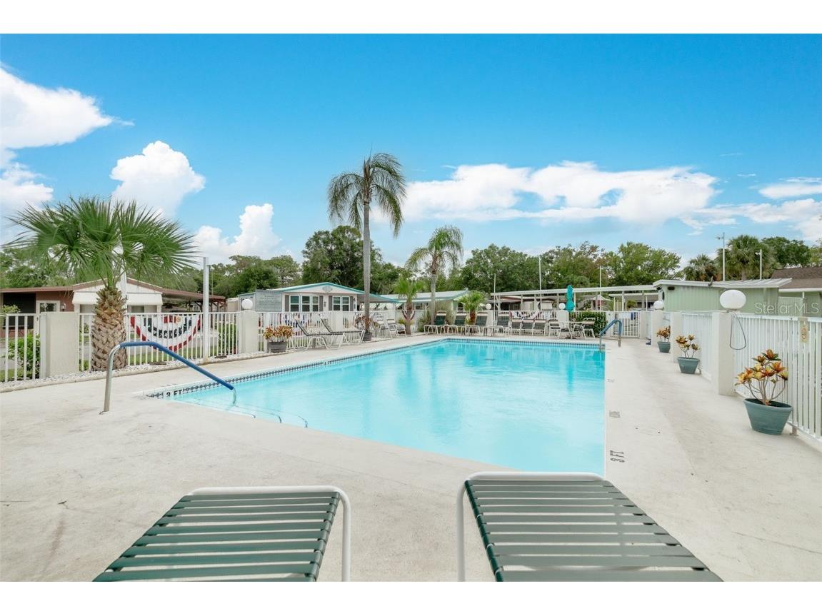 7815 Greenlawn Drive New Port Richey FL 34653 TB8424605 image23