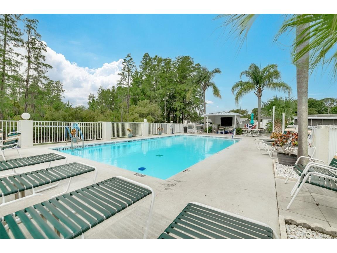 7815 Greenlawn Drive New Port Richey FL 34653 TB8424605 image25