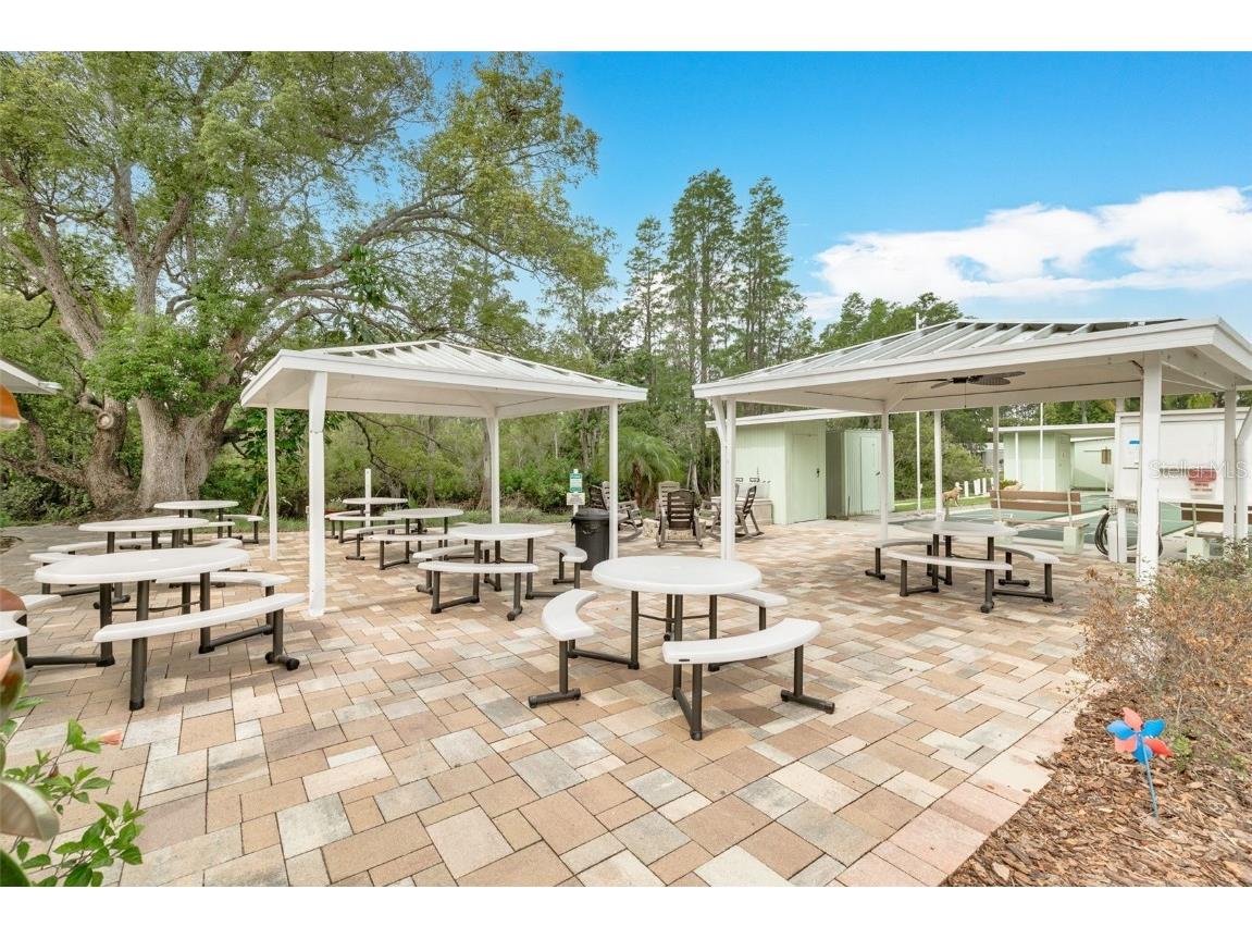 7815 Greenlawn Drive New Port Richey FL 34653 TB8424605 image26