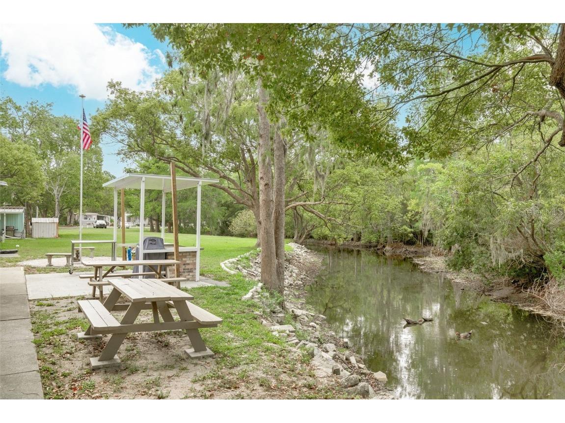 7815 Greenlawn Drive New Port Richey FL 34653 TB8424605 image37