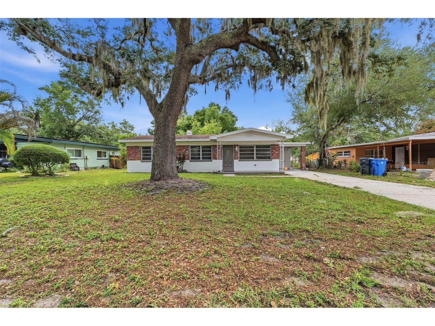 7815 Pine Hill Drive Tampa FL 33617 TB8511114 image6