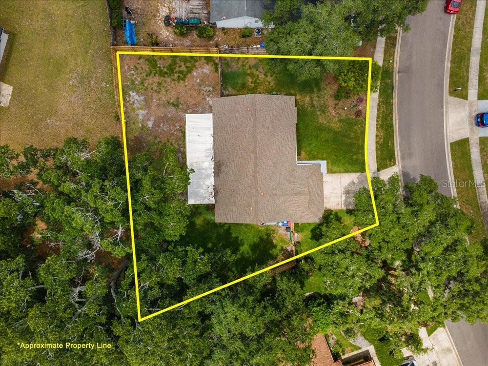 7816 Bitternut Court Orlando FL 32810 O6414578 image26