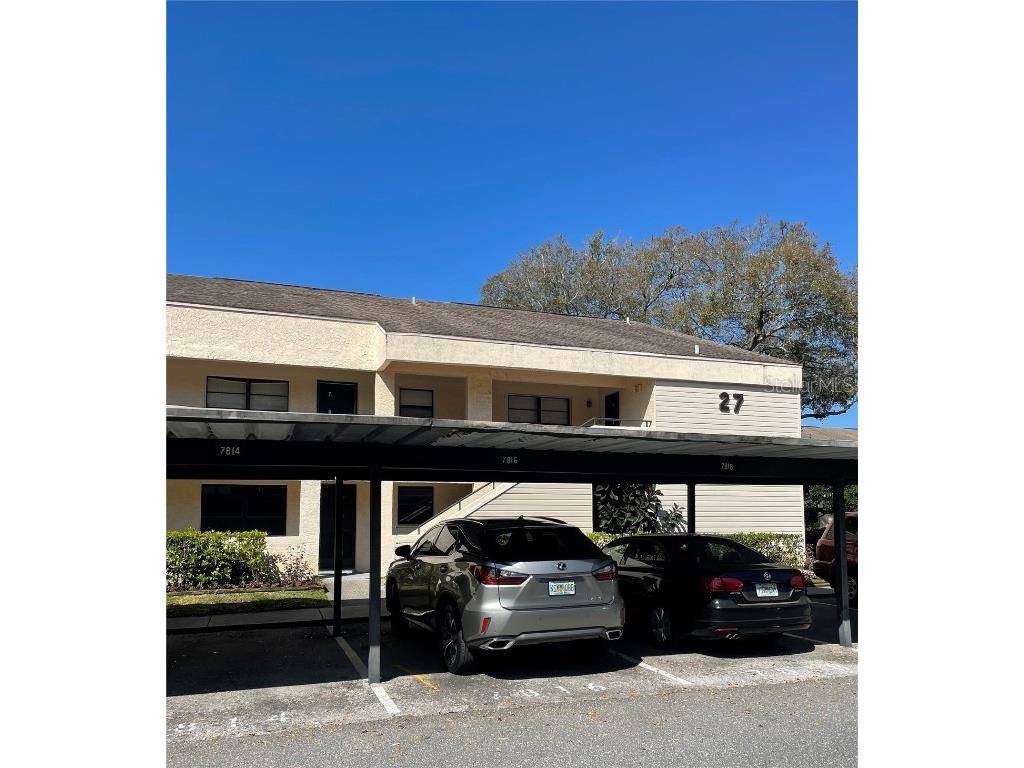 7816 Niagara Avenue #224 Tampa FL 33617 T3358969 image1