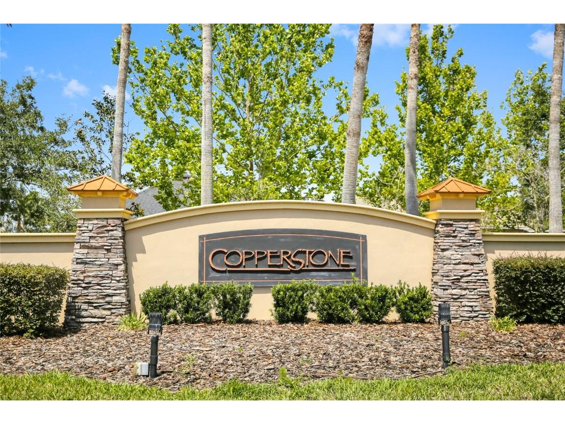 7817 112th Avenue E Parrish FL 34219 - POND #20 A4677142 image45