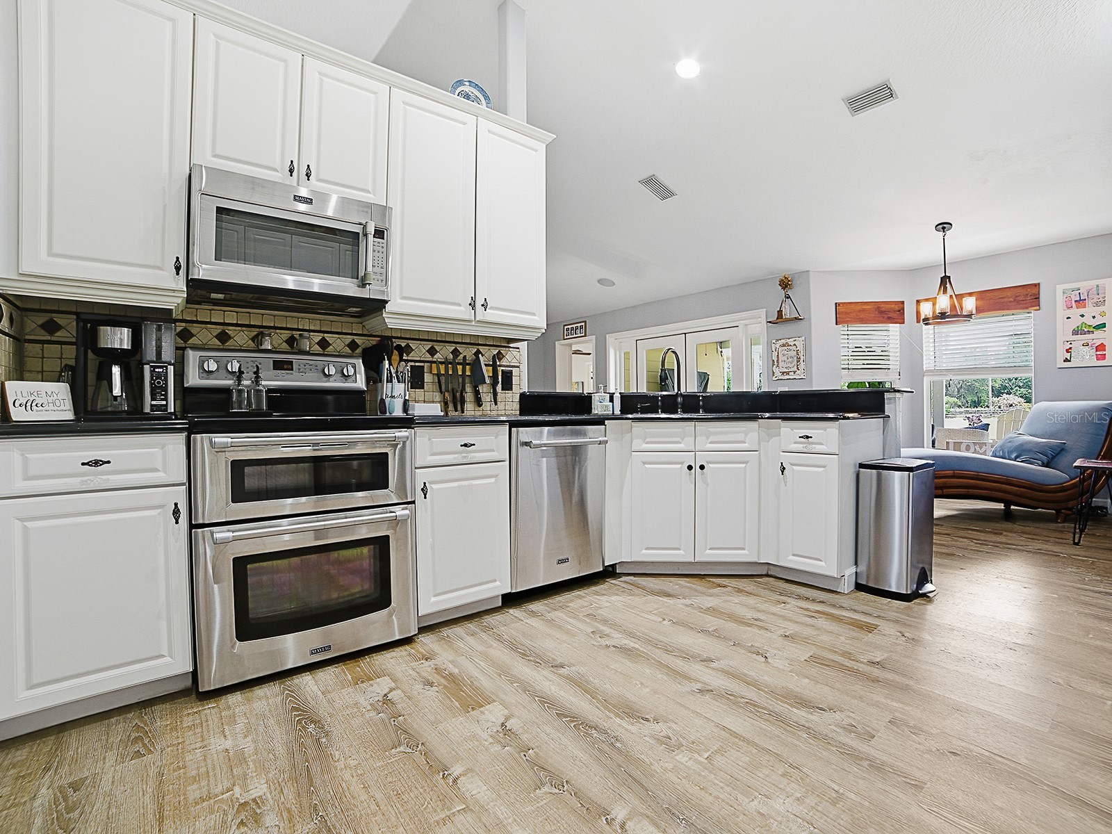 7817 Laurel View Drive Mount Dora FL 32757 - LAKE ANGELINA G5111652 image11
