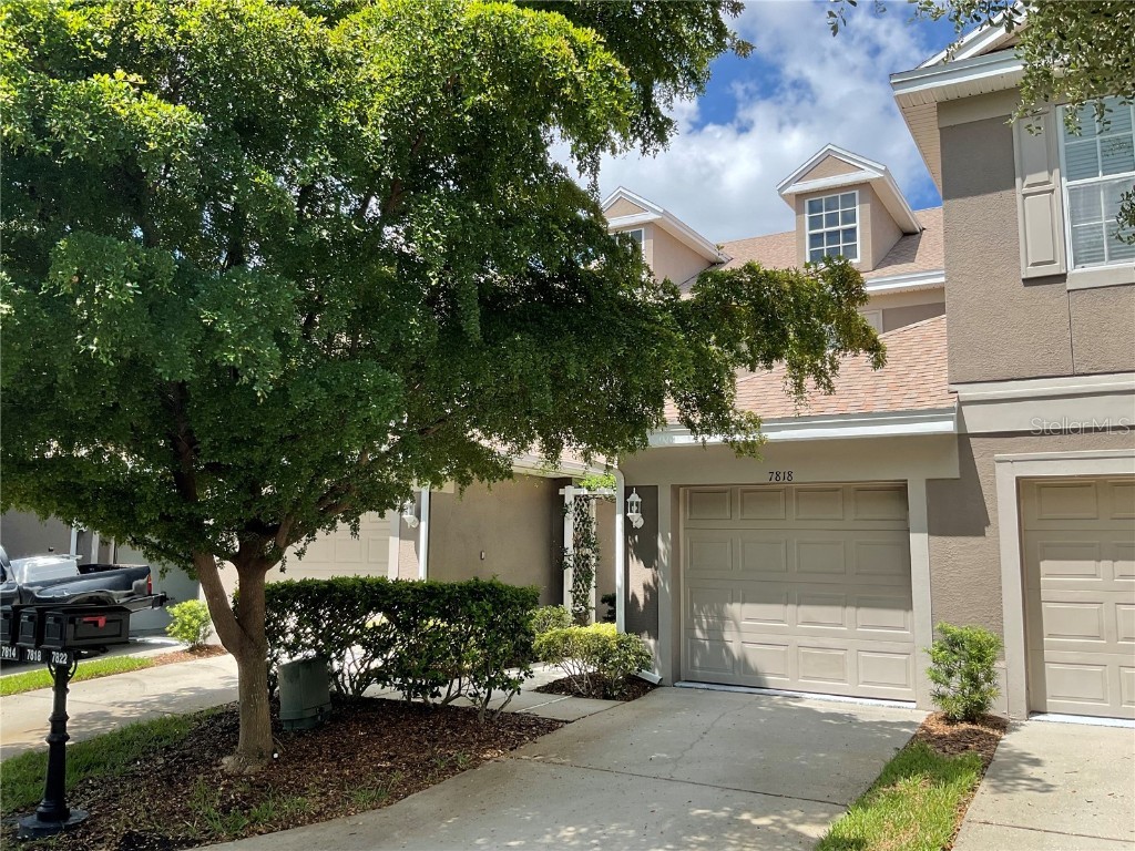 7818 66th Way N Pinellas Park FL 33781 T3532794 image1