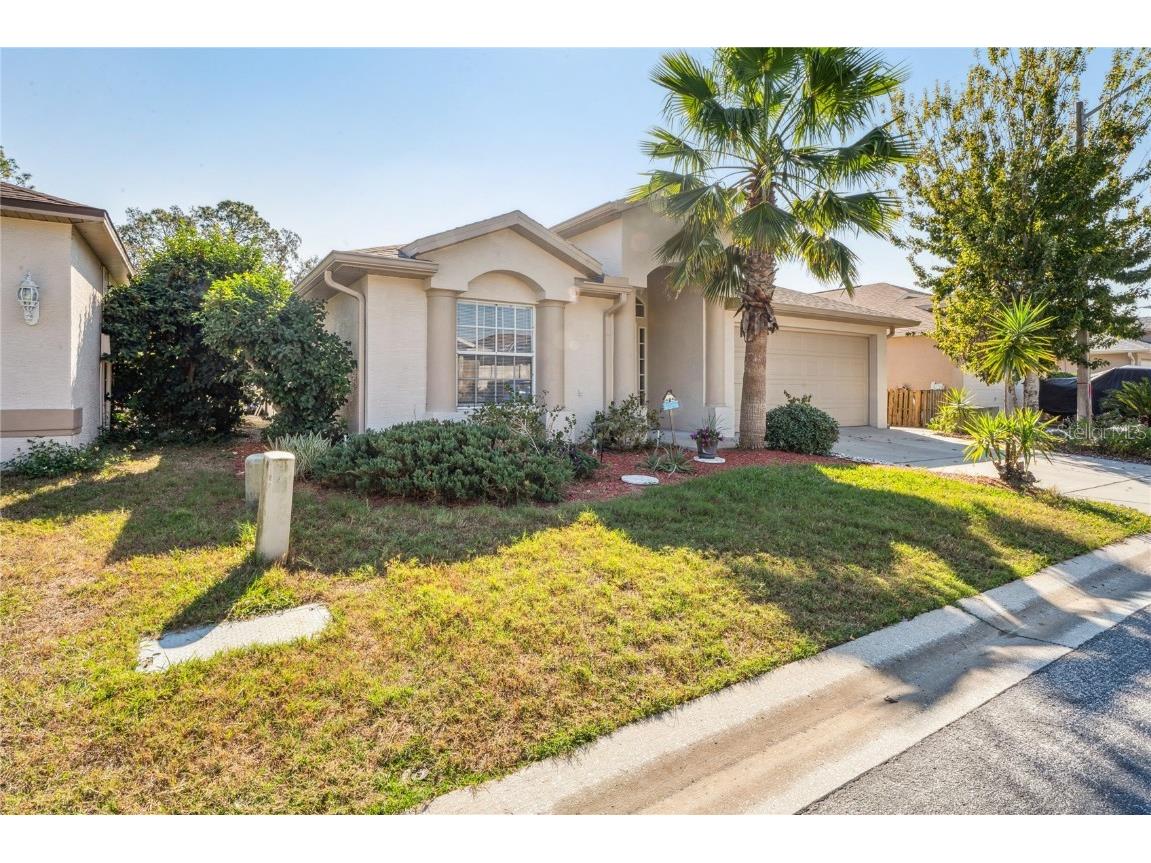 7818 Fashion Loop New Port Richey FL 34654 W7881136 image33