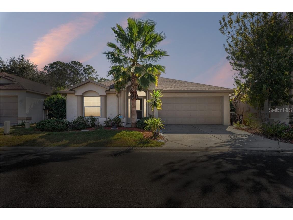 7818 Fashion Loop New Port Richey FL 34654 W7881136 image44