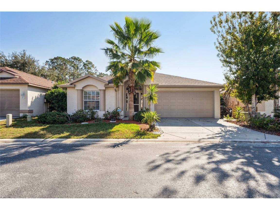 7818 Fashion Loop New Port Richey FL 34654 W7881136 image6