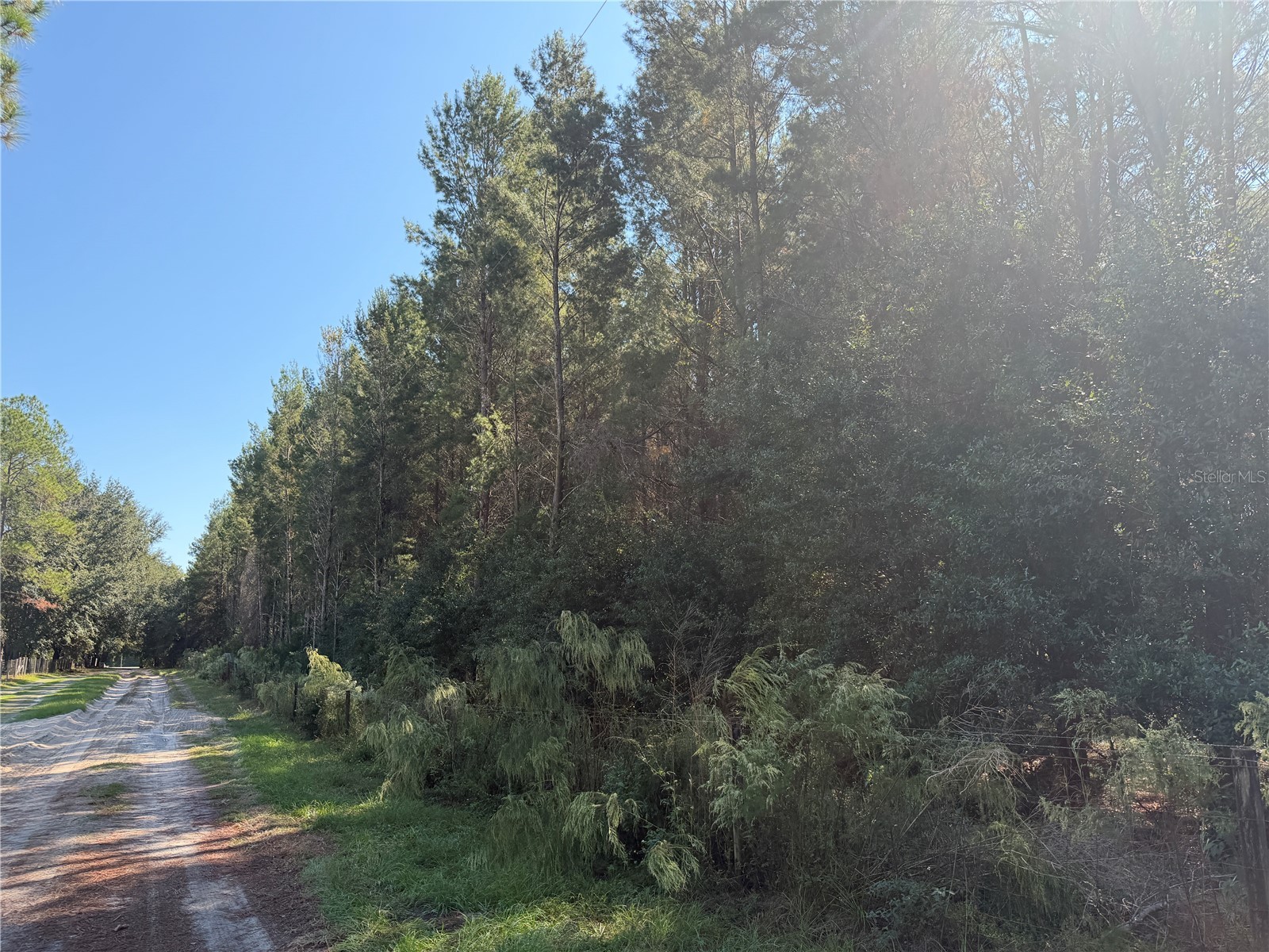 7818 NW State Road 45 High Springs FL 32643 GC535332 image4