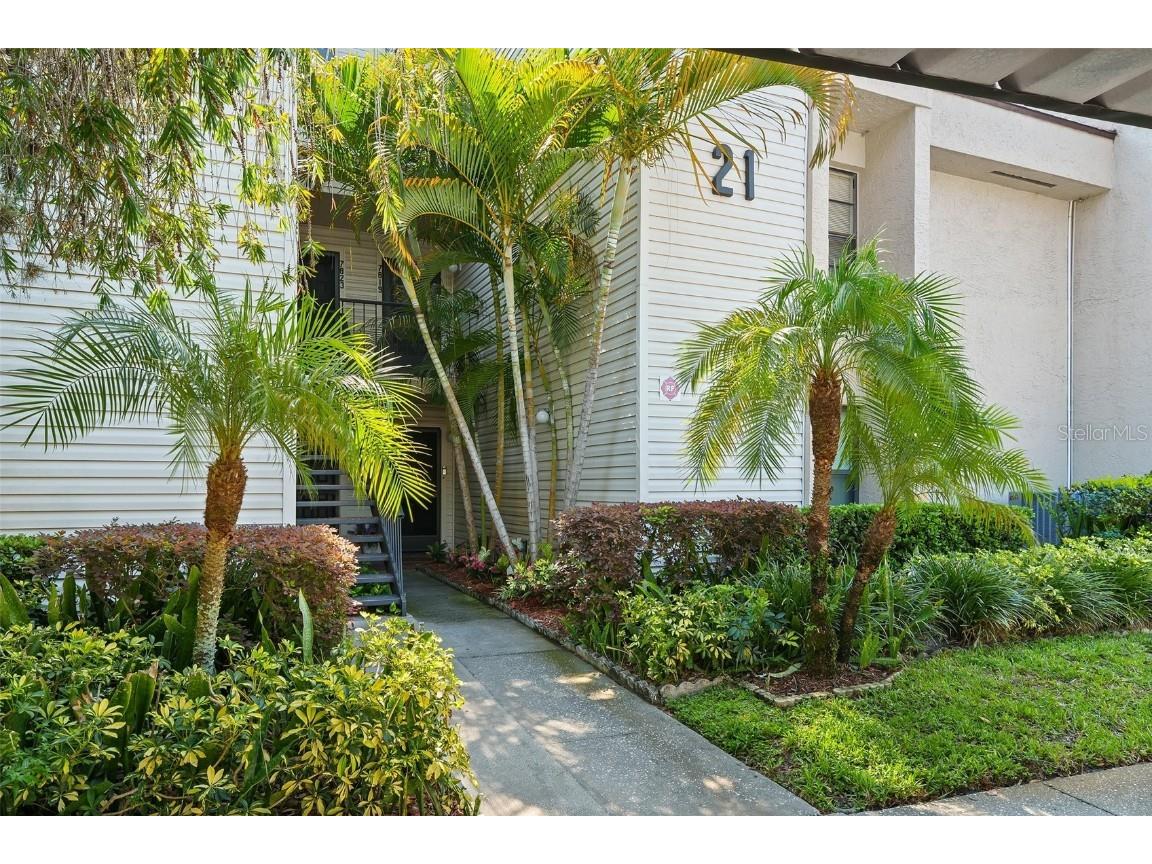 7819 Niagara Avenue #7819 Tampa FL 33617 T3449935 image1