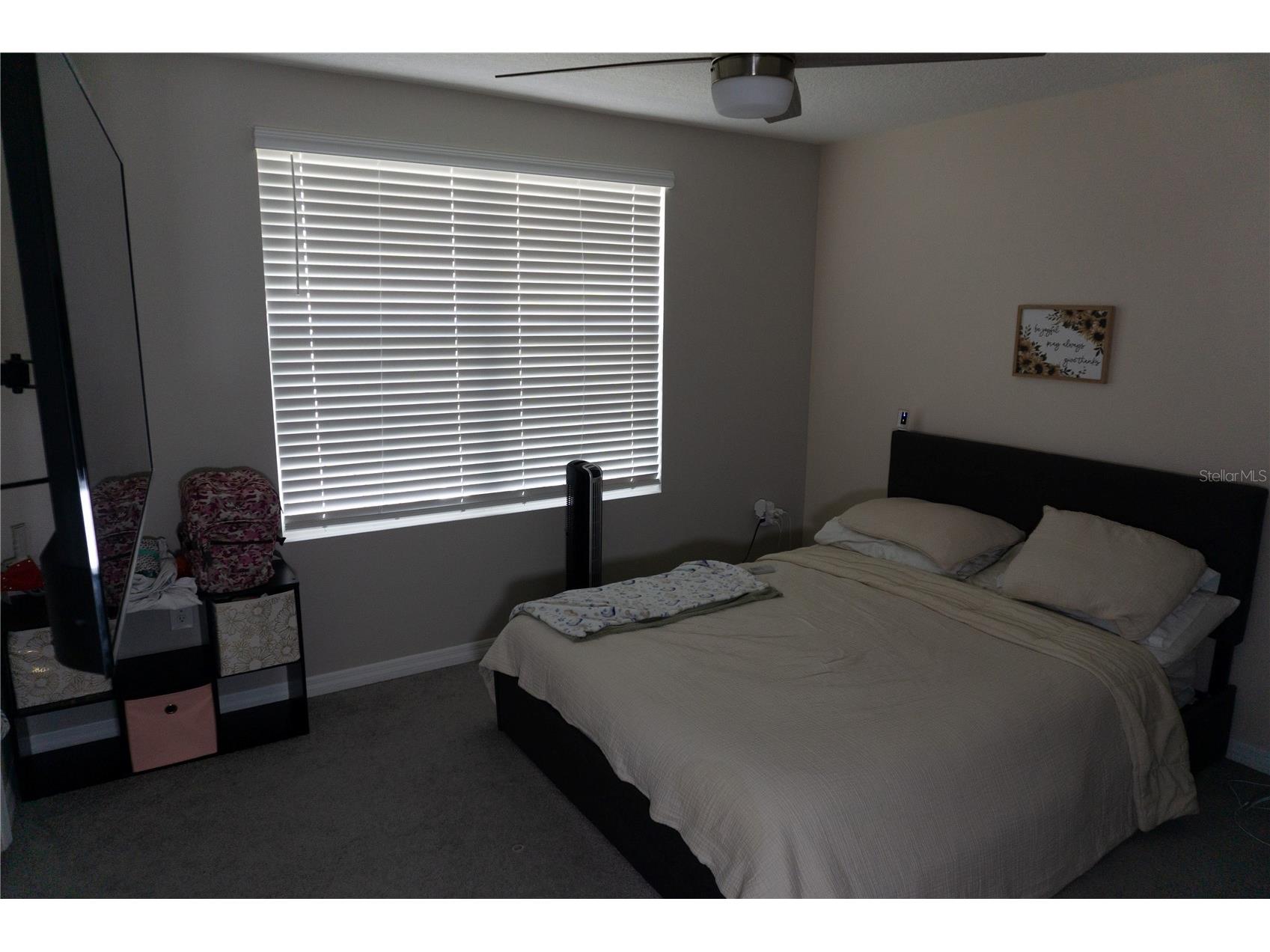 7819 Sail Clover Lane Zephyrhills FL 33540 TB8516800 image10