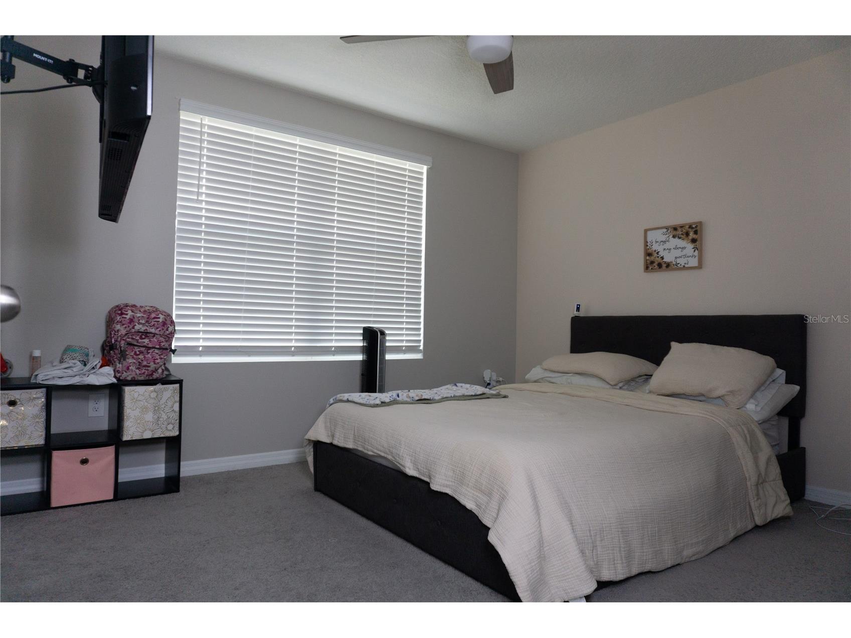 7819 Sail Clover Lane Zephyrhills FL 33540 TB8516800 image11