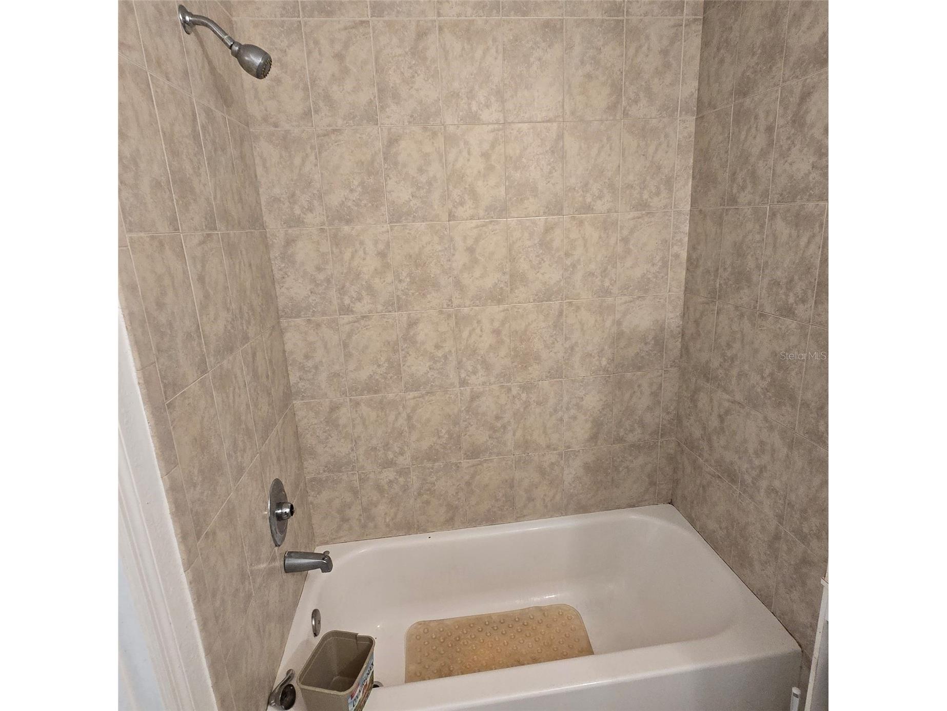 782 Mink Court Kissimmee FL 34759 S5147700 image20
