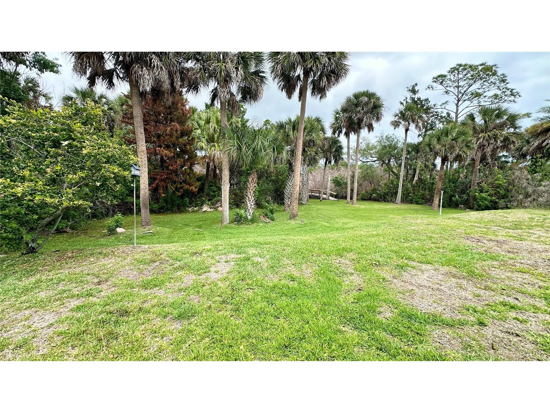 782 Pine Shores Circle New Smyrna Beach FL 32168 NS1088155 image26