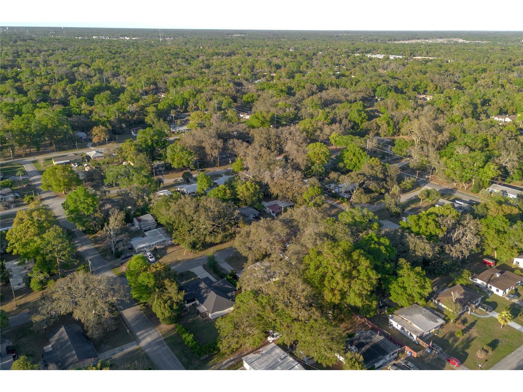 782 Valencia Avenue Orange City FL 32763 V4941735 image36