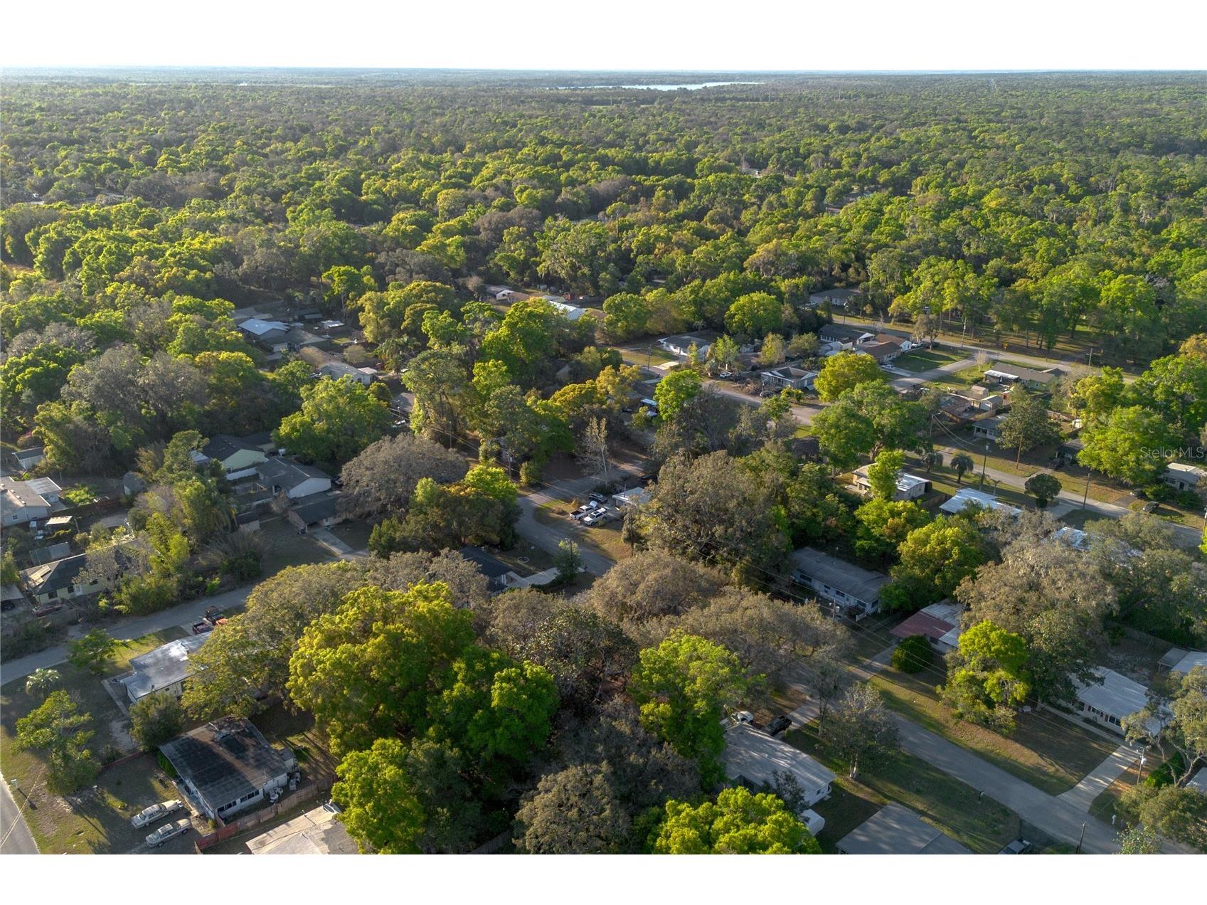 782 Valencia Avenue Orange City FL 32763 V4941735 image38