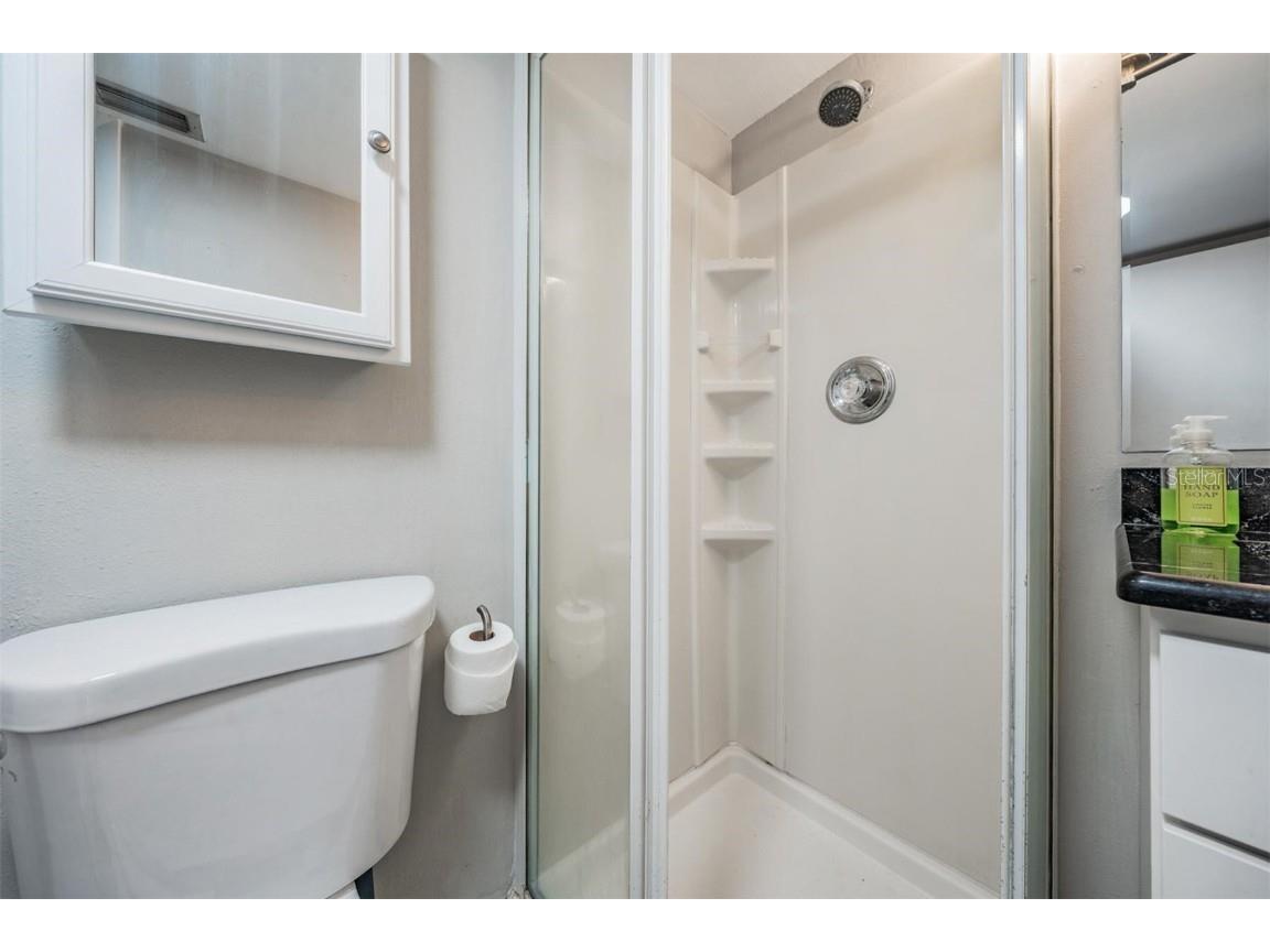 782 Village Lake Terrace N #206 Saint Petersburg FL 33716 TB8434180 image24