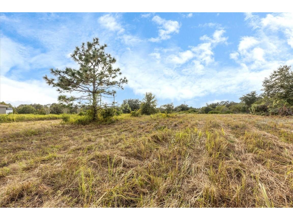 7820 235th Street E Myakka City FL 34251 A4639591 image1