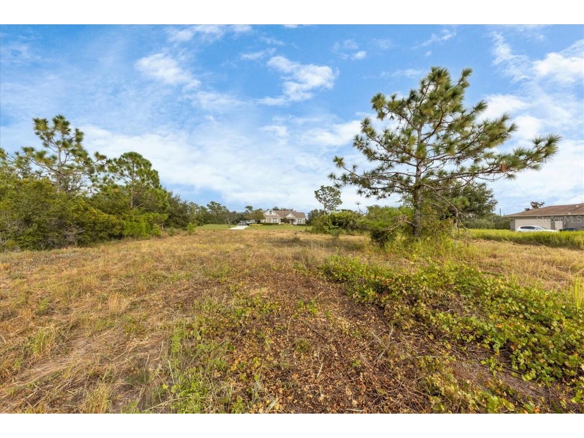 7820 235th Street E Myakka City FL 34251 A4639591 image2