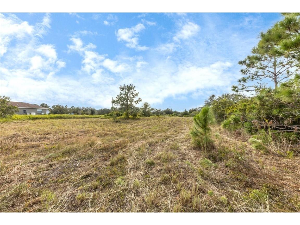 7820 235th Street E Myakka City FL 34251 A4639591 image3