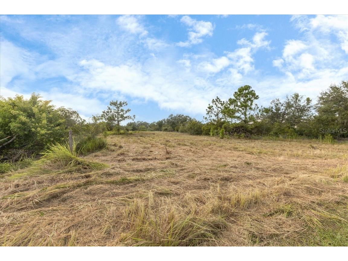 7820 235th Street E Myakka City FL 34251 A4639591 image4