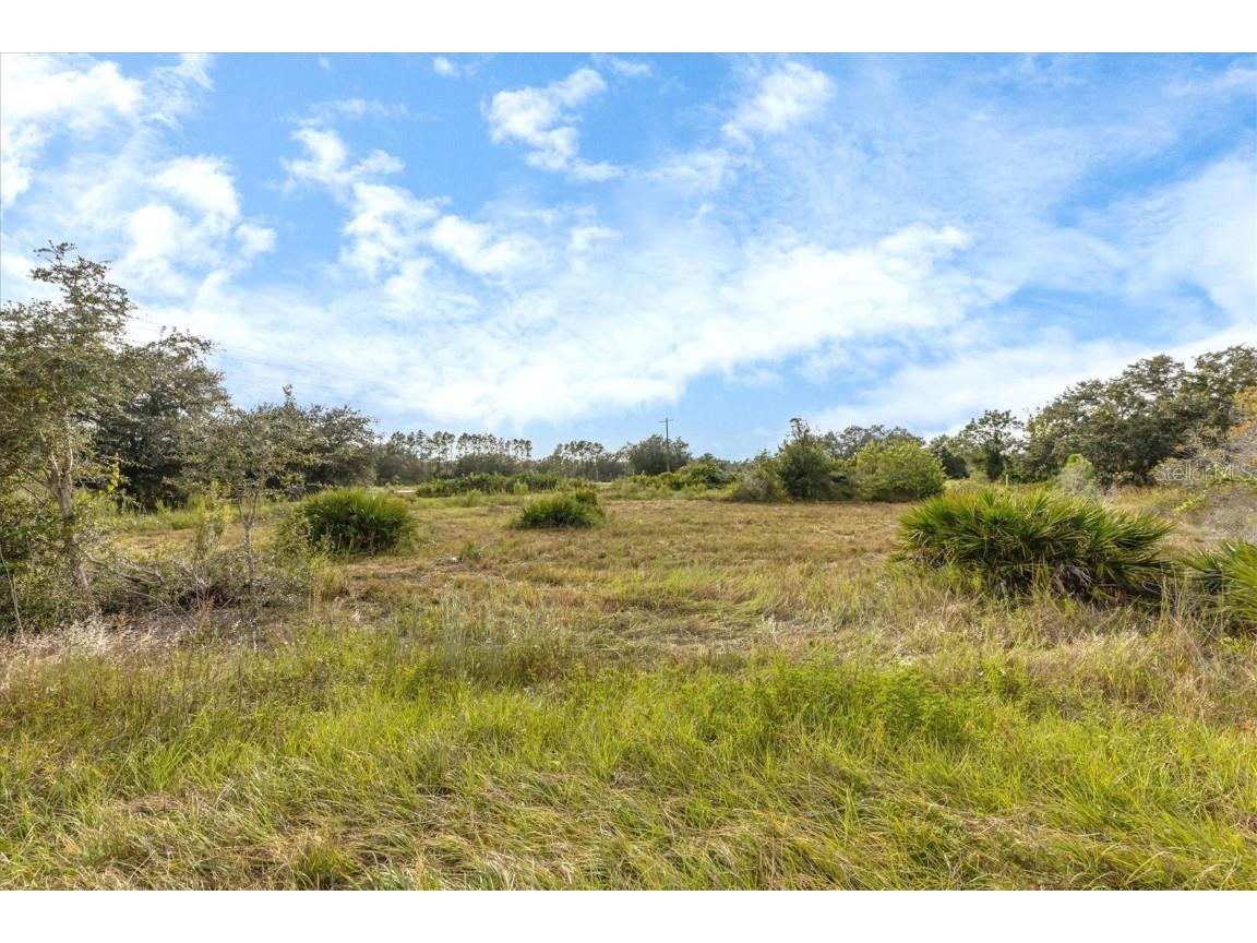 7820 235th Street E Myakka City FL 34251 A4639591 image5