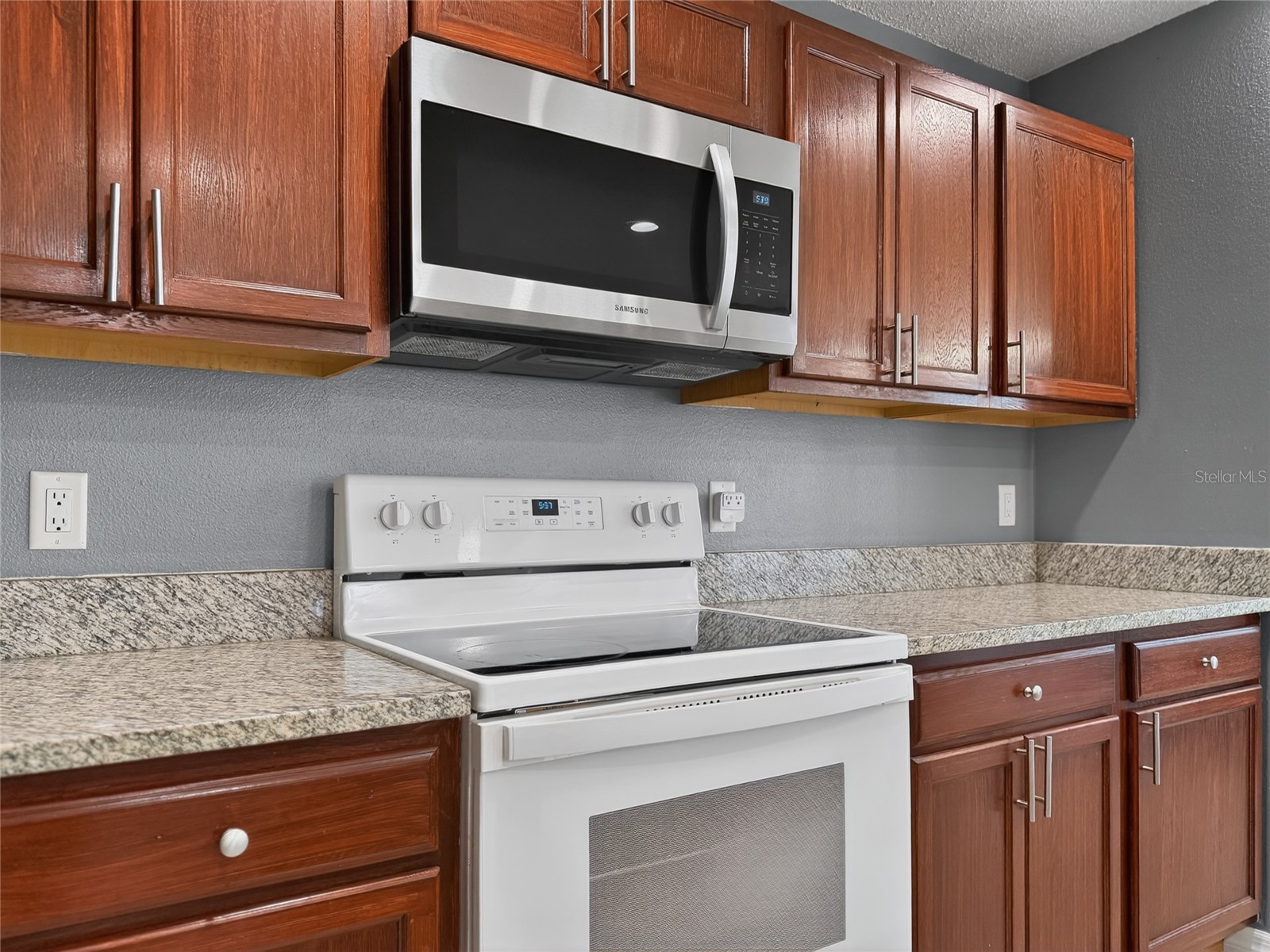 7821 Falabella Court Orlando FL 32818 O6408863 image15