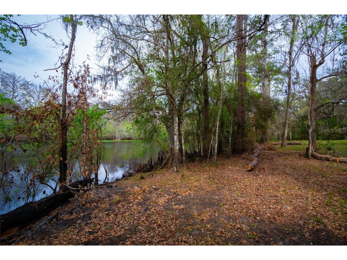 7822 Cr 647 Bushnell FL 33513 - WITHLACOOCHEE RIVER TB8353084 image1