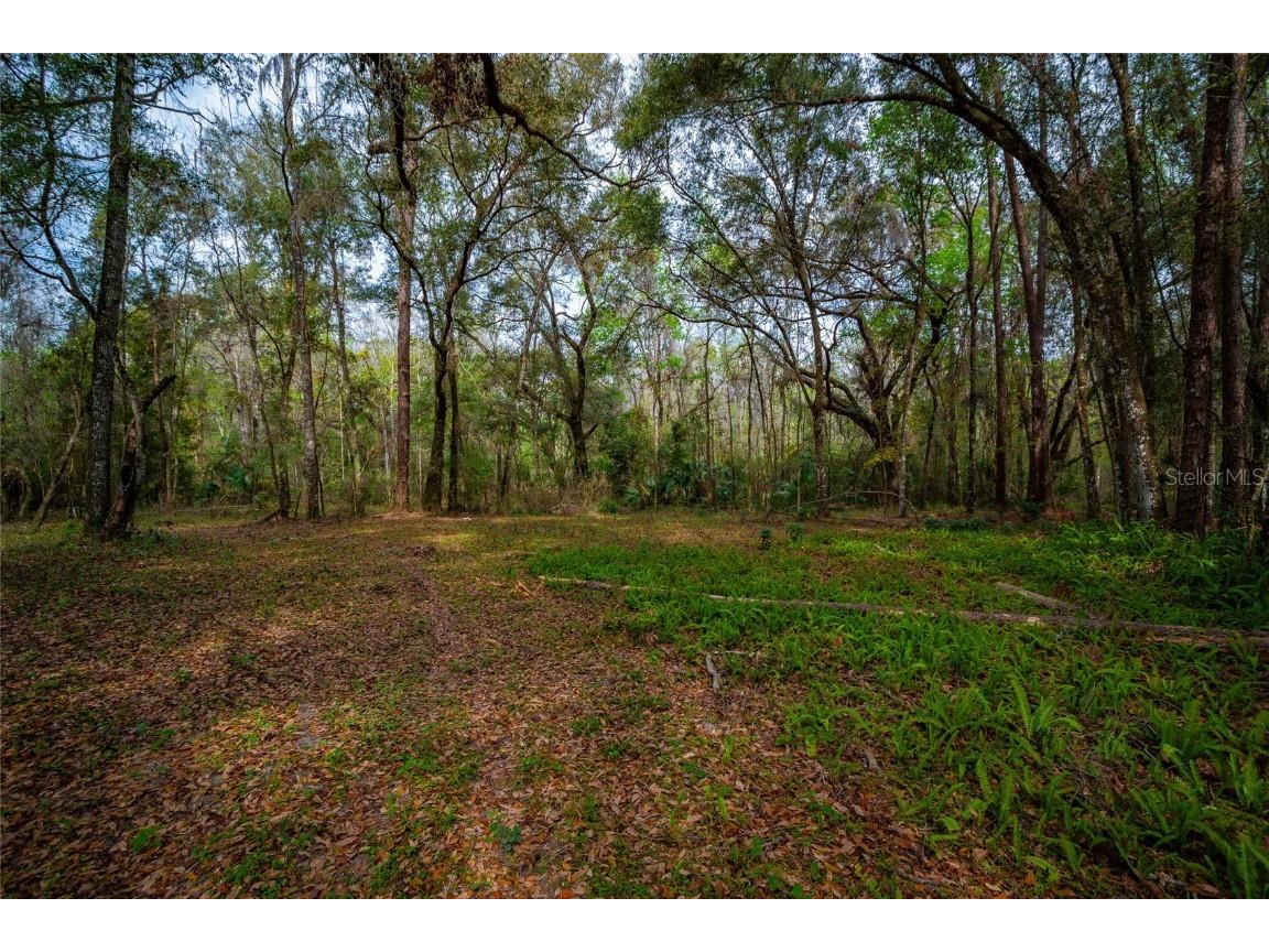 7822 Cr 647 Bushnell FL 33513 - WITHLACOOCHEE RIVER TB8353084 image10