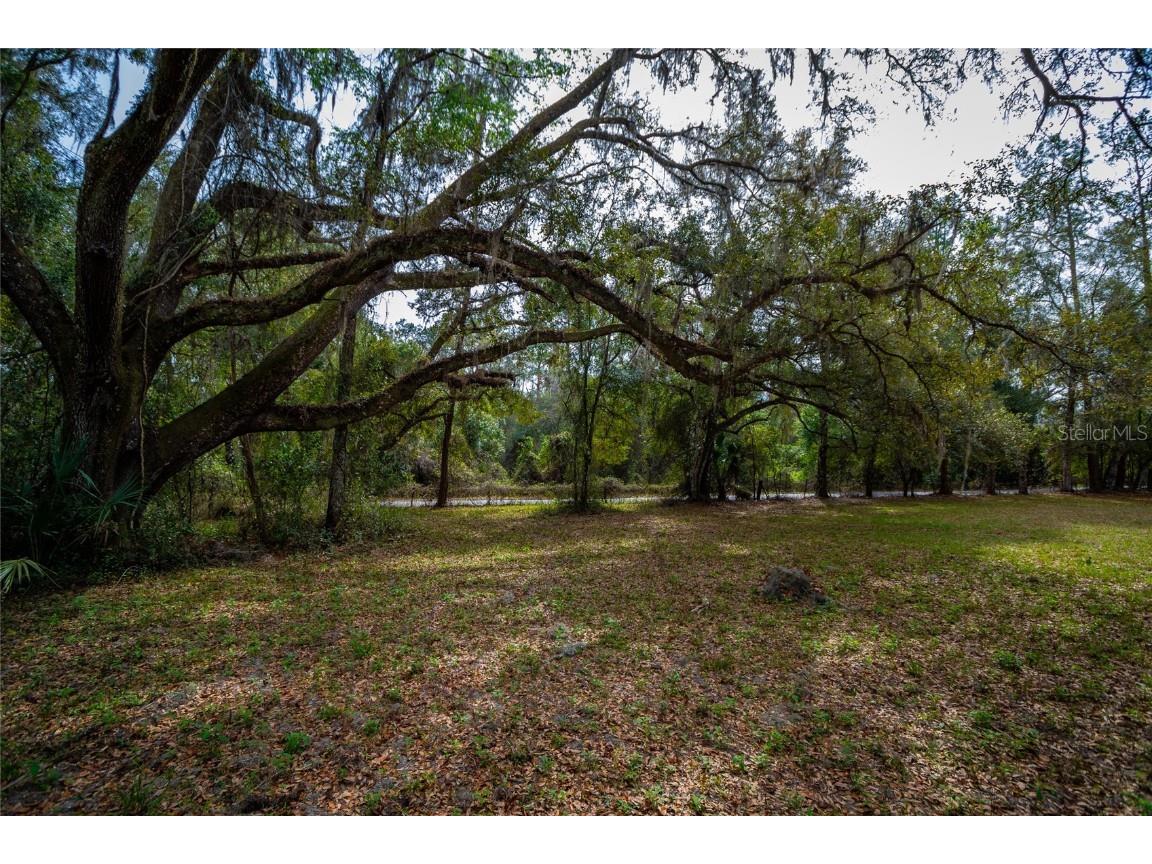7822 Cr 647 Bushnell FL 33513 - WITHLACOOCHEE RIVER TB8353084 image13
