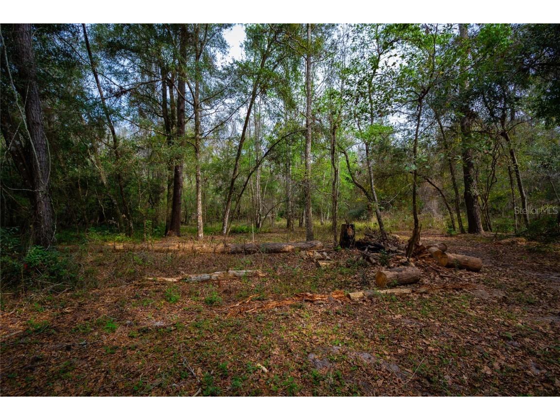 7822 Cr 647 Bushnell FL 33513 - WITHLACOOCHEE RIVER TB8353084 image17
