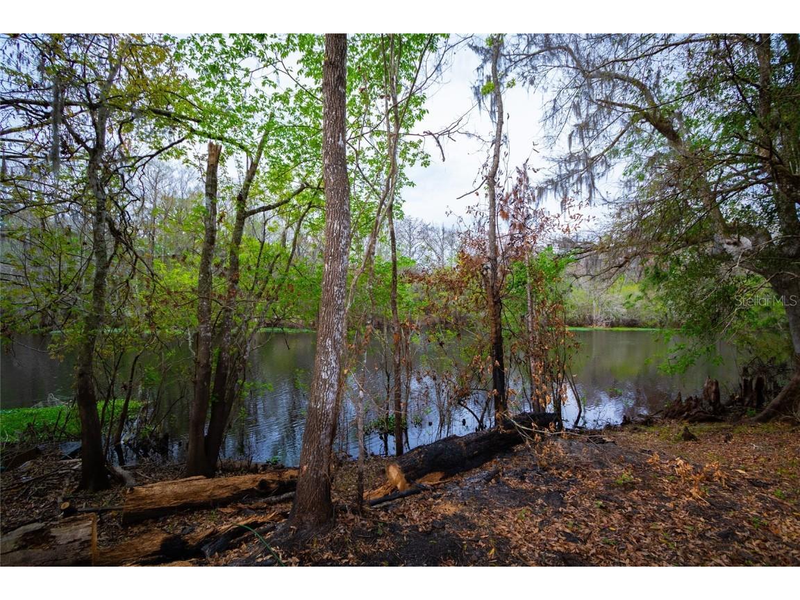 7822 Cr 647 Bushnell FL 33513 - WITHLACOOCHEE RIVER TB8353084 image2